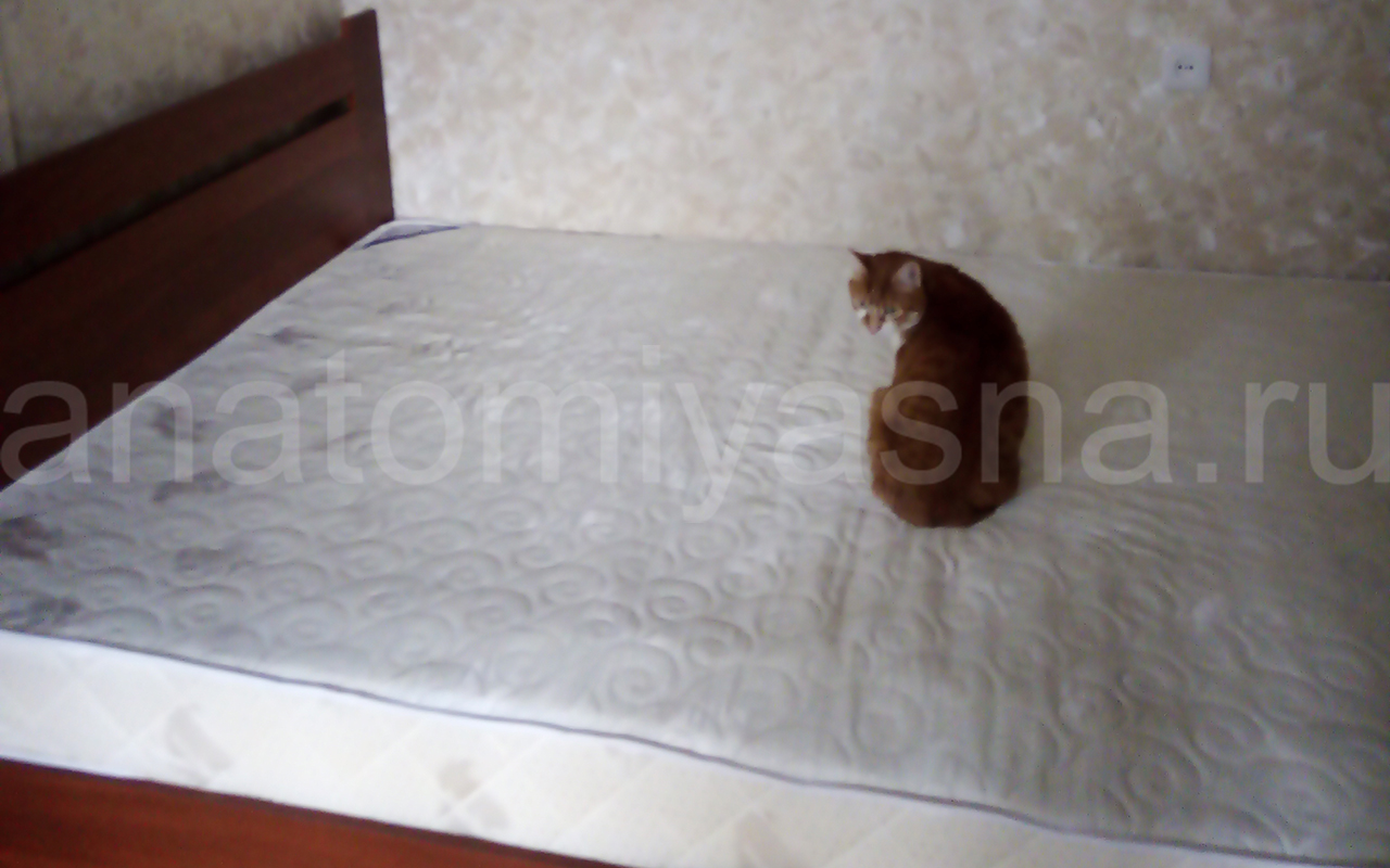 отзыв о Матрас DreamLine Easy Feel TFK фото 3