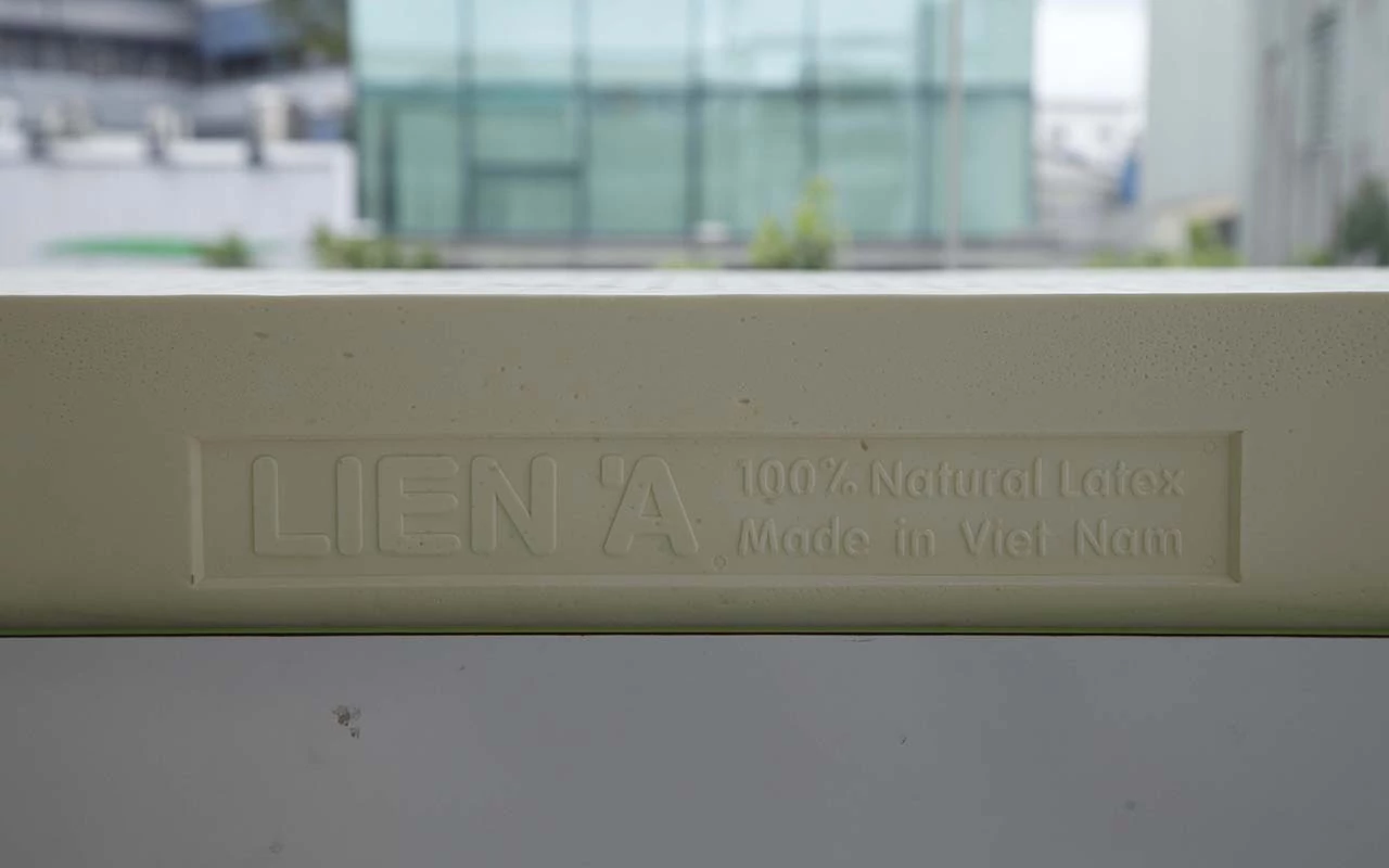 Liena LA Dome 15 см фото 8